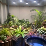 فروش واحد 195 متری در زعفرانیه | کد 187